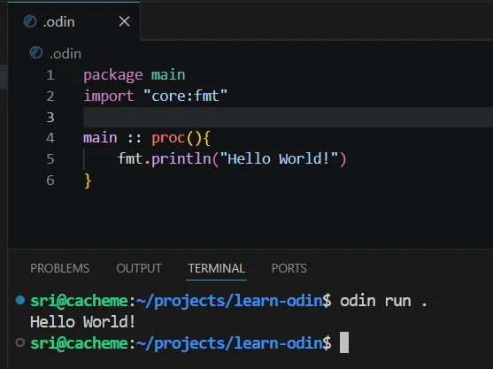 Odin run file